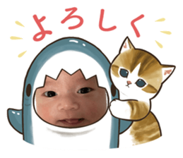 566243257