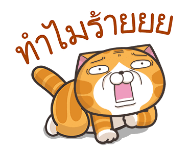เหมียวซ่า : ท้าป่วนจอ รูปที่ 2
