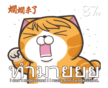 เหมียวซ่า : ท้าป่วนจอ รูปที่ 7