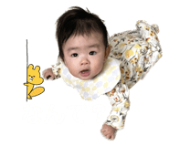 566263028