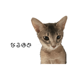 566291753