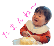 566293461