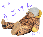 566293481