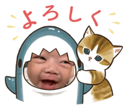 566309335