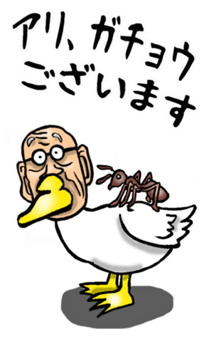 566321180