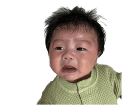 566328377