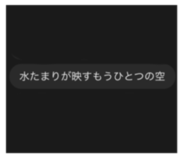 566338635
