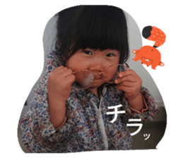 566341113