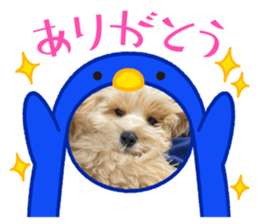566341532