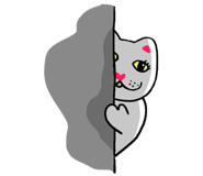 566353843