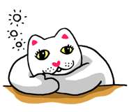 566353845