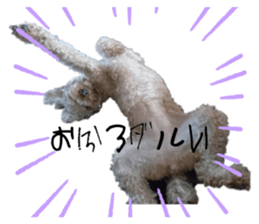 566357474
