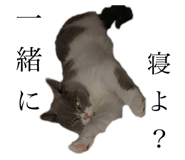 566357706