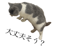 566357707