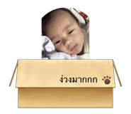 566428343