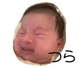 566433863