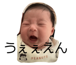 566433878