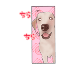 566444176
