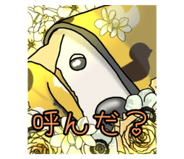 566444179