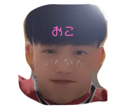 566444208