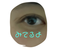 566444210