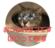 566454000
