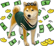 566455375