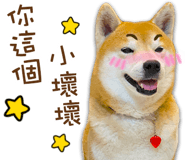 566455376