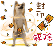 566455382