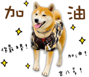 566455389