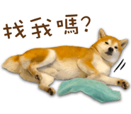 566455391