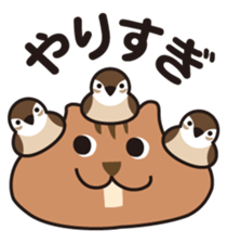5664559