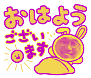 566482447