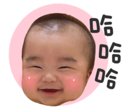 566505062