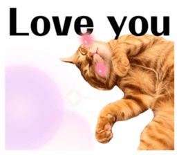 566505122