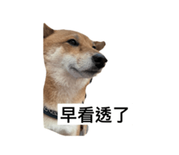 566509063