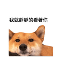 566509064