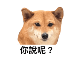 566509070