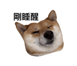 566509072