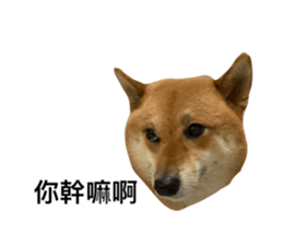 566509093