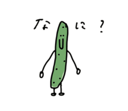 566511817
