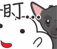 566522307