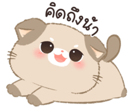 566523430