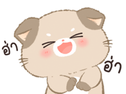 566523440