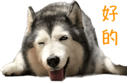 566523990