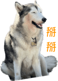 566523997