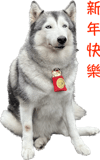 566524005