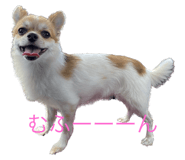 566535088