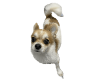 566535089
