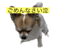 566535090